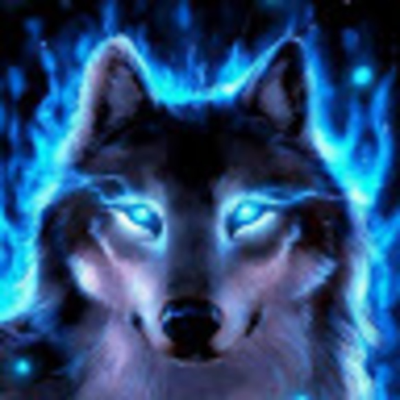 y2jbluewolf